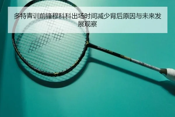 多特青训前锋穆科科出场时间减少背后原因与未来发展观察
